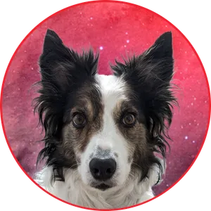 This is my friend, Grid.